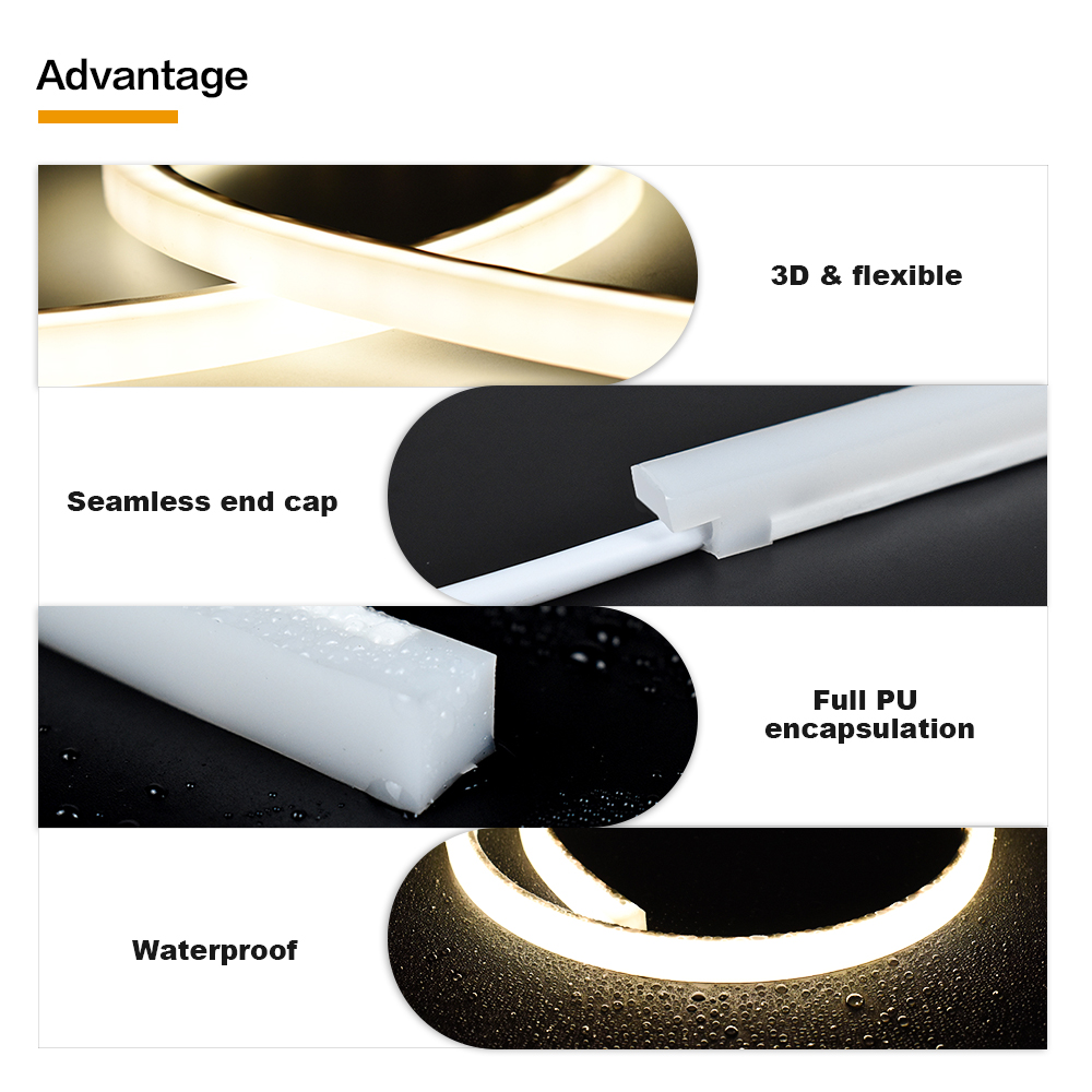 Swimming Pool Underwater 10*10mm IP68 3D Solid Neon LED 24VDC White Color High Transmittance Cuttable