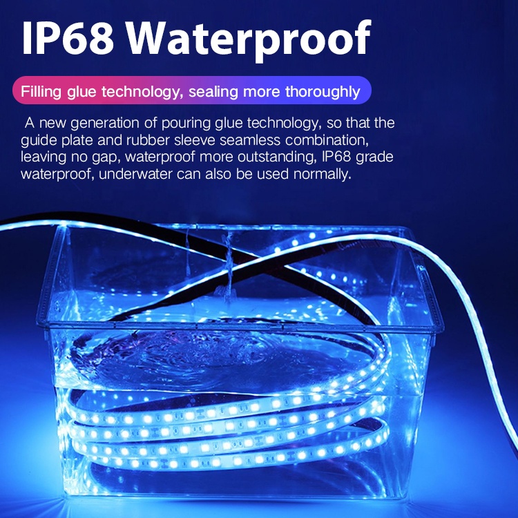IP68 Waterproof Underwater LED Strip Light For Swimming Pool Smart Neon Beds Decoration Rope ABS Lamp Body For Landscape