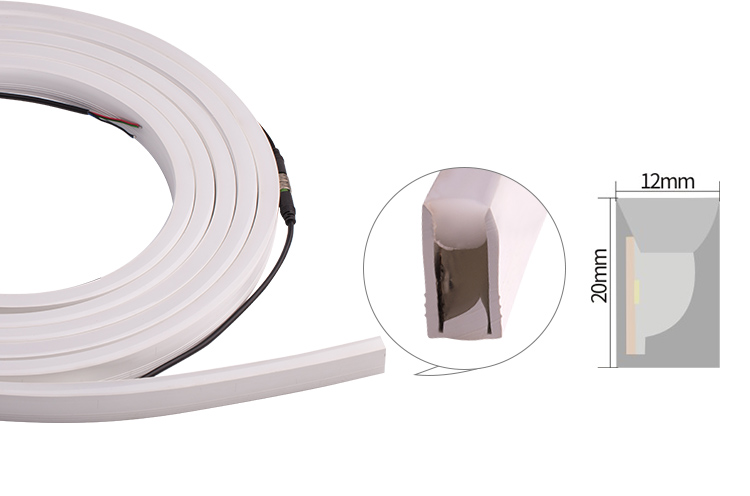 Detailed Neon Flex Image 1