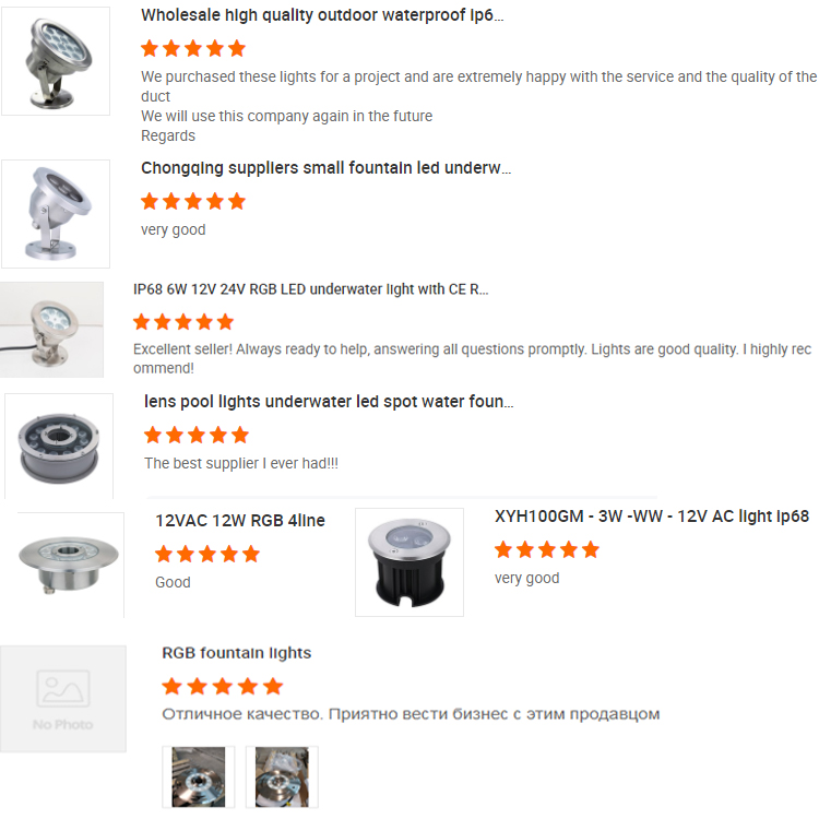 Client Feedback and Reviews