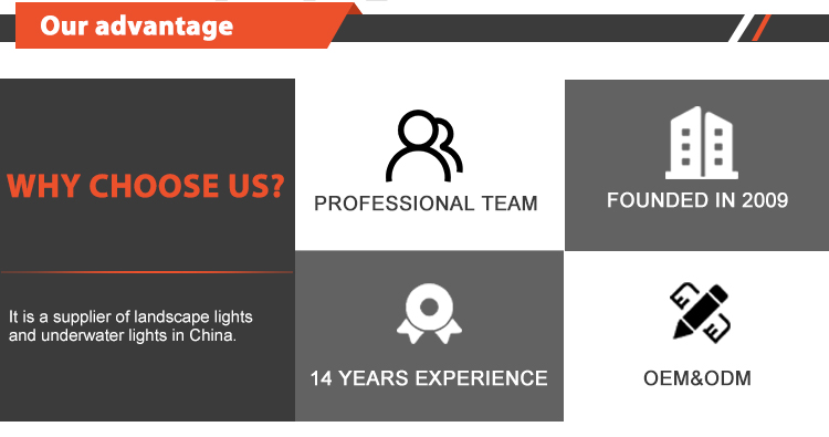 Why Choose Us details