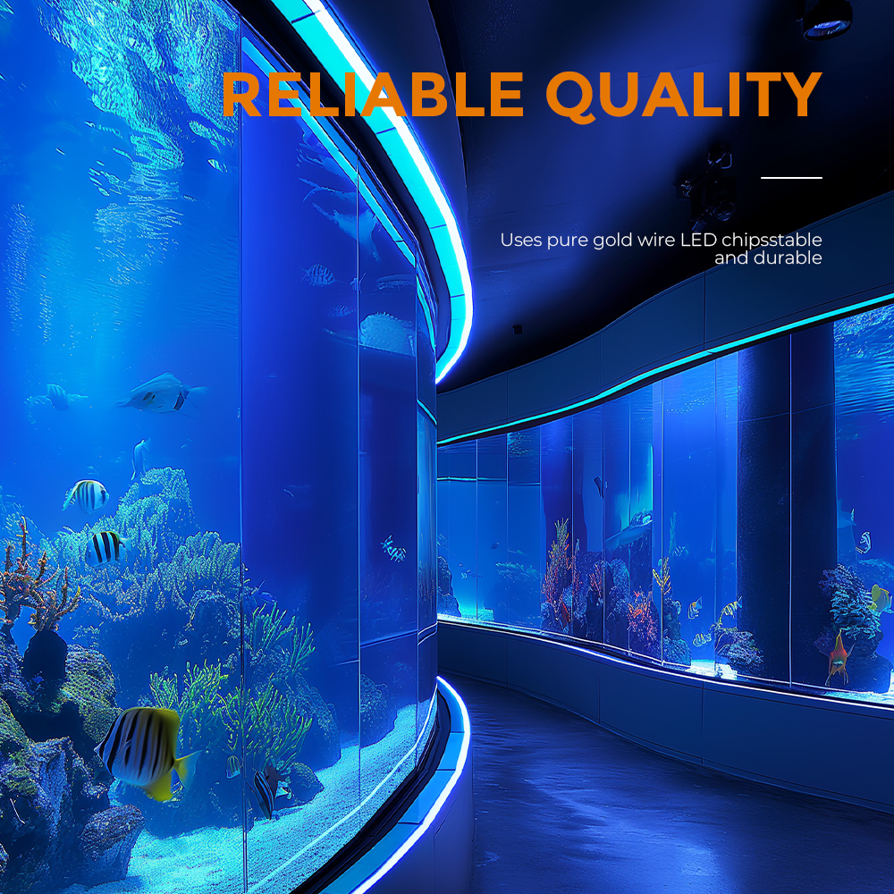 SHUNQI Architectural Underwater LED Neon Flex IP68 Waterproof Strip Light For Landscape Pond And Spa Lighting