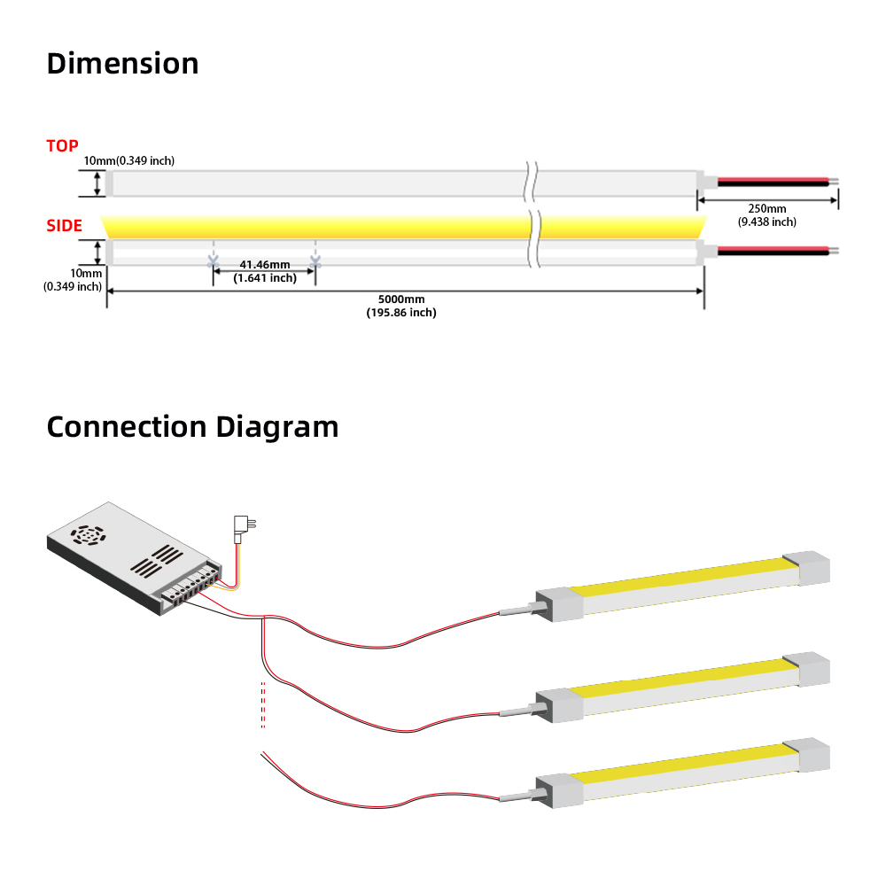 LED Neon Light Details
