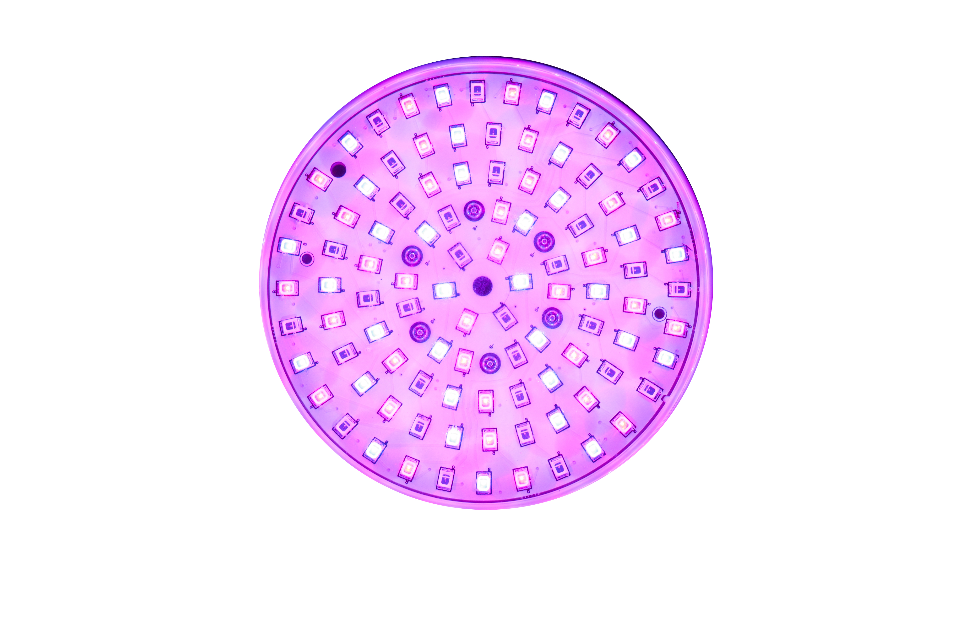 Product Detail 3