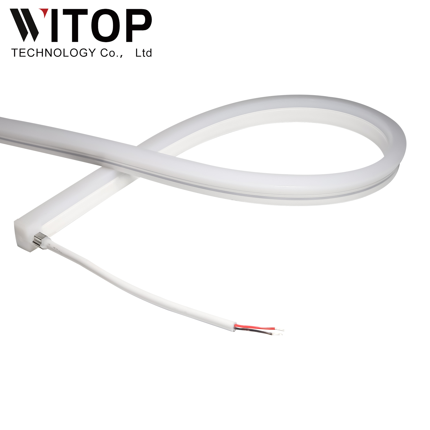 Led Neon Flex 12v 24v Strip Light IP67 Waterproof Swimming Pool Light
