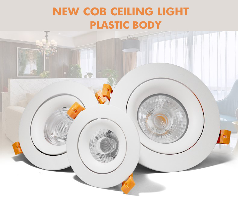 Popular light