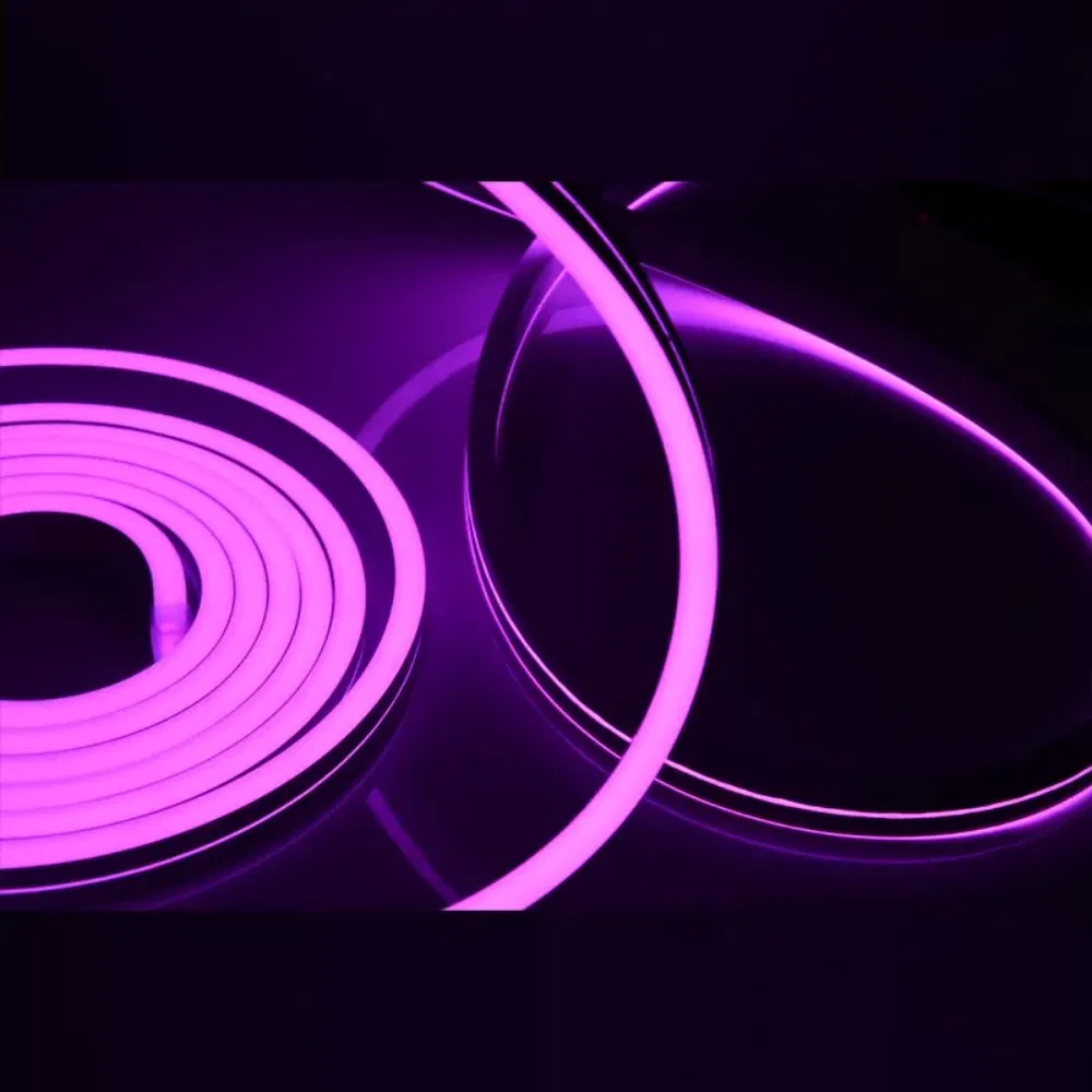 Waterproof Sign Flexible Silicone Neon Smart LED Strip Light for Room Decoration for Bedroom, Bar, Party, Game Room 12V 24V