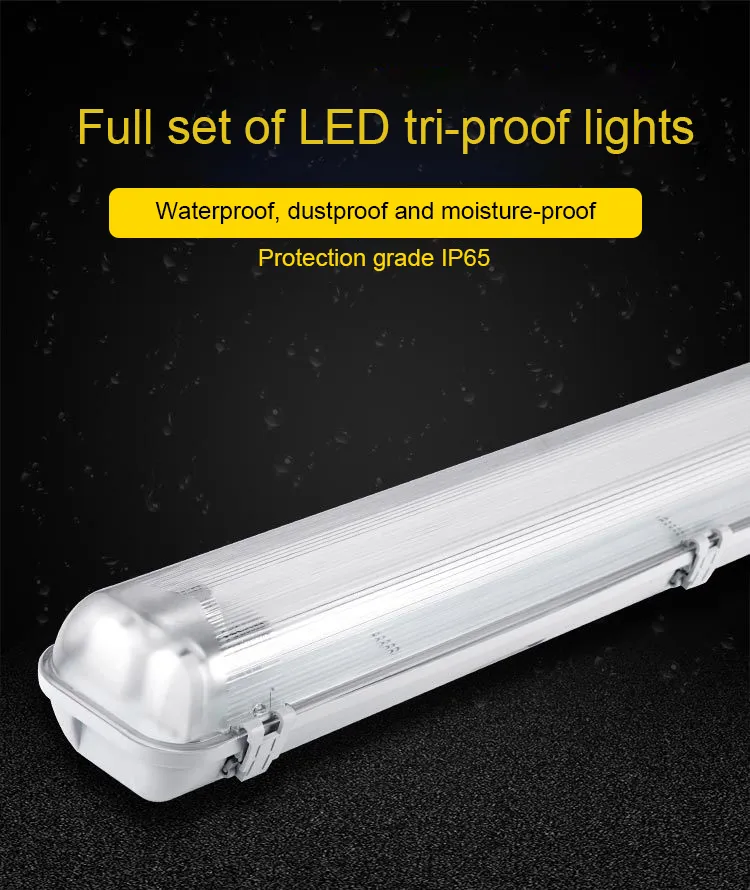 Energy-Saving IP65 Waterproof LED T8 Tube Light for Aquariums