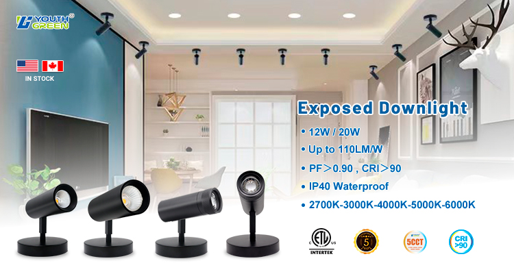 Product Showcase Banner