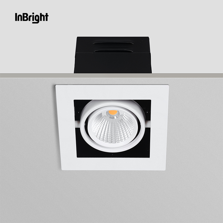 Ceiling Grille Led Spotlight 2x10w 2x20w 2x30w Double Head Adjustable Multiple Spot Light