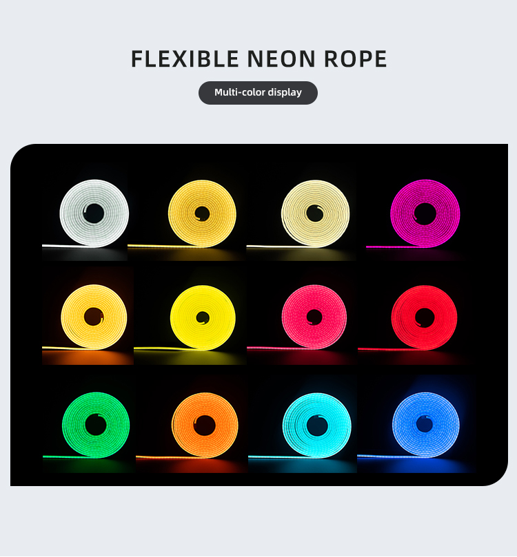 Custom Neon Sign Display 4