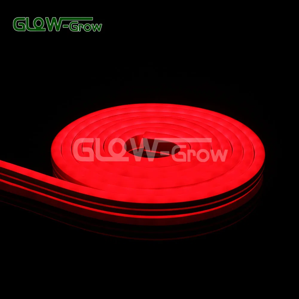 IP65 24V Double Side Rgbww Wholesale LED Neon Flex Light Neon Lamps for Large Commercial Christmas Decoration