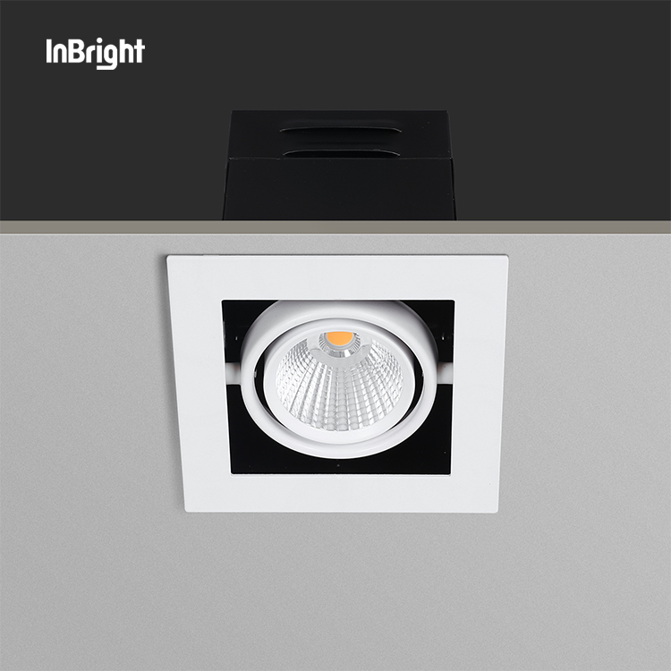 Ceiling Grille Led Spotlight 2x10w 2x20w 2x30w Double Head Adjustable Multiple Spot Light