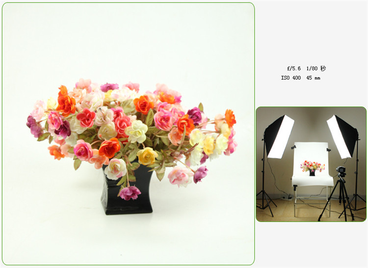 Photographic Equipment Photo Studio Soft Box Kit Video Four-capped Lamp Holder Lighting 50*70cm Softbox Photo Box