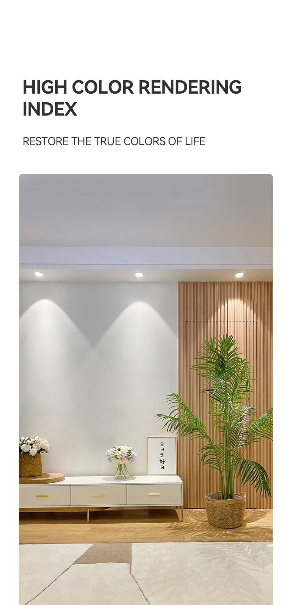 LED Downlight View 11