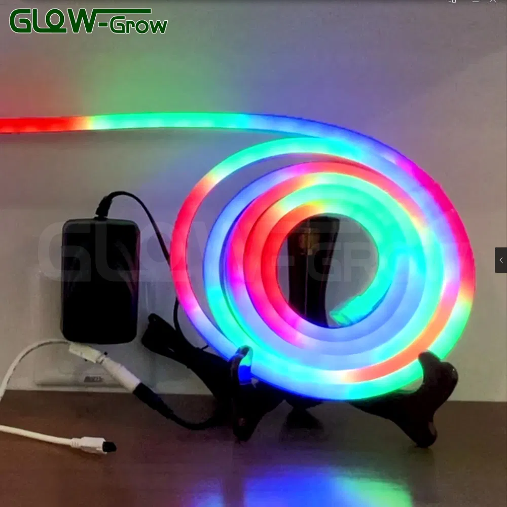 IP65 24V Double Side Rgbww Wholesale LED Neon Flex Light Neon Lamps for Large Commercial Christmas Decoration