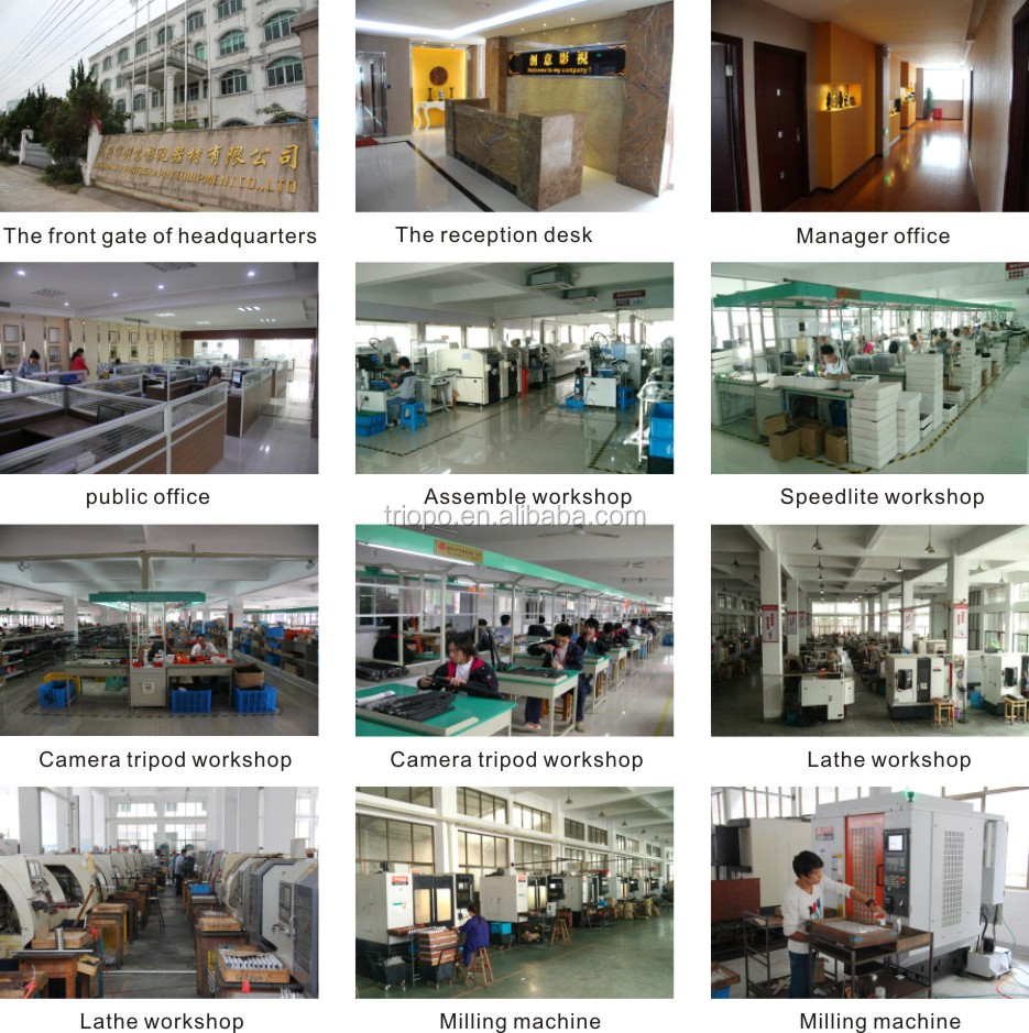 Company Building