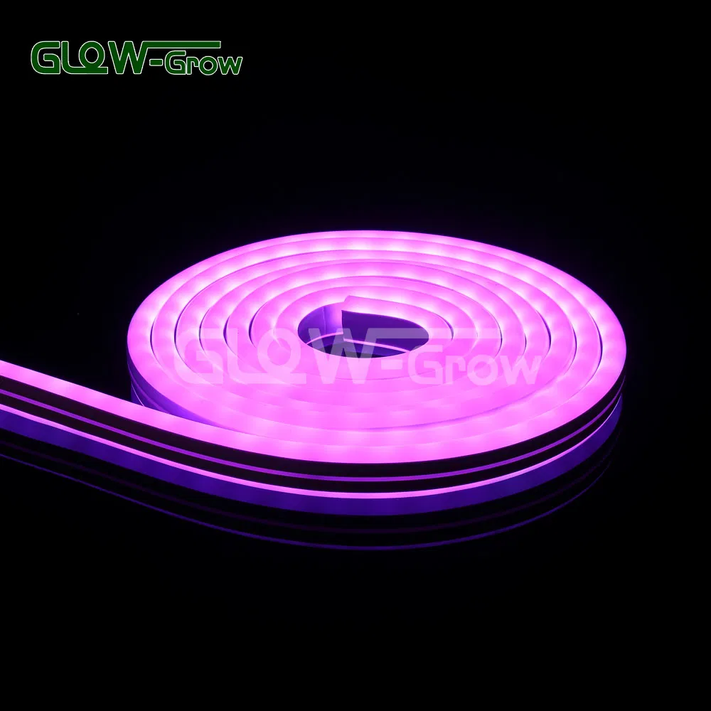 IP65 24V Double Side Rgbww Wholesale LED Neon Flex Light Neon Lamps for Large Commercial Christmas Decoration