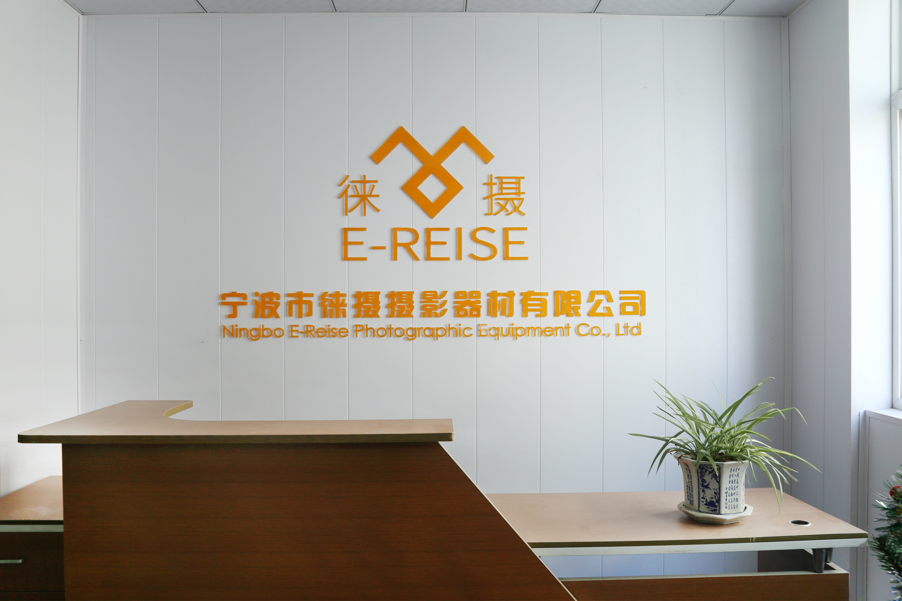 Company Showcase 1