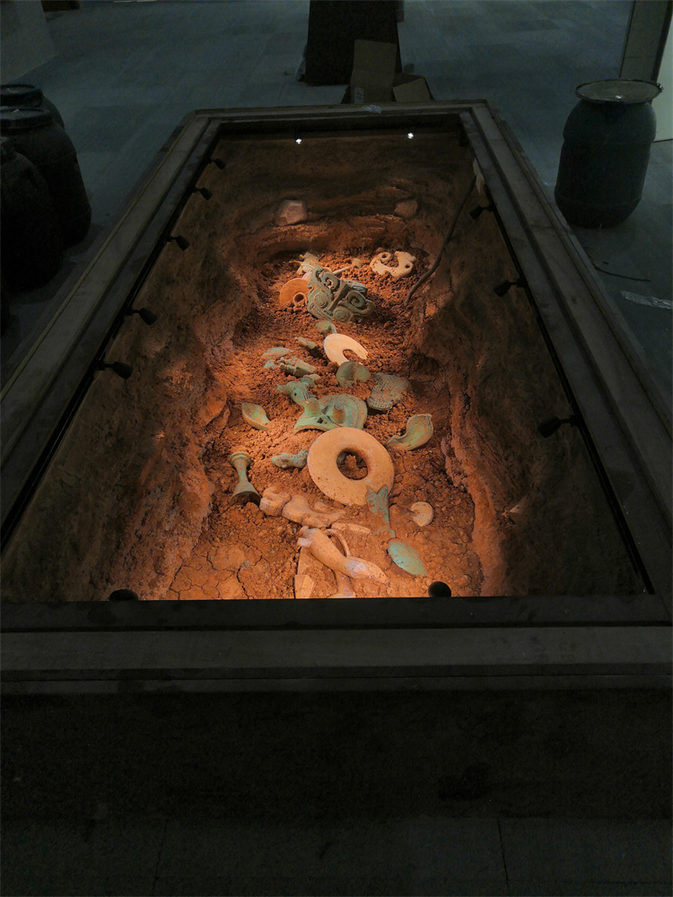 Project Case 10