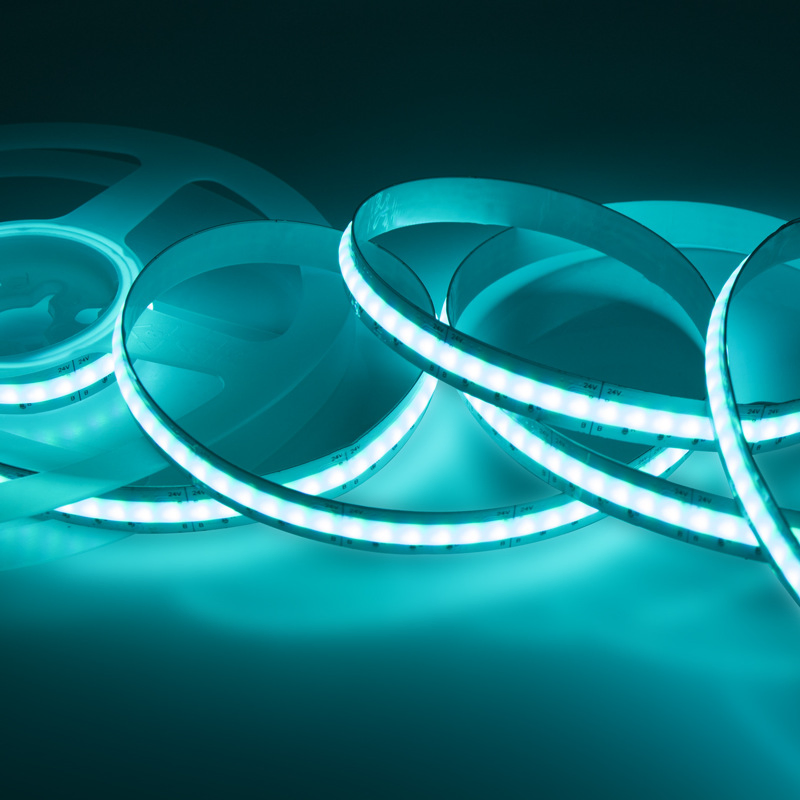 Outdoor Silicone Flexible RGBW Waterproof RGB COB IP67 IP68 10m 100m 24V 12V Warm White Rgbic Rgbww LED Strip Light LED Strip
