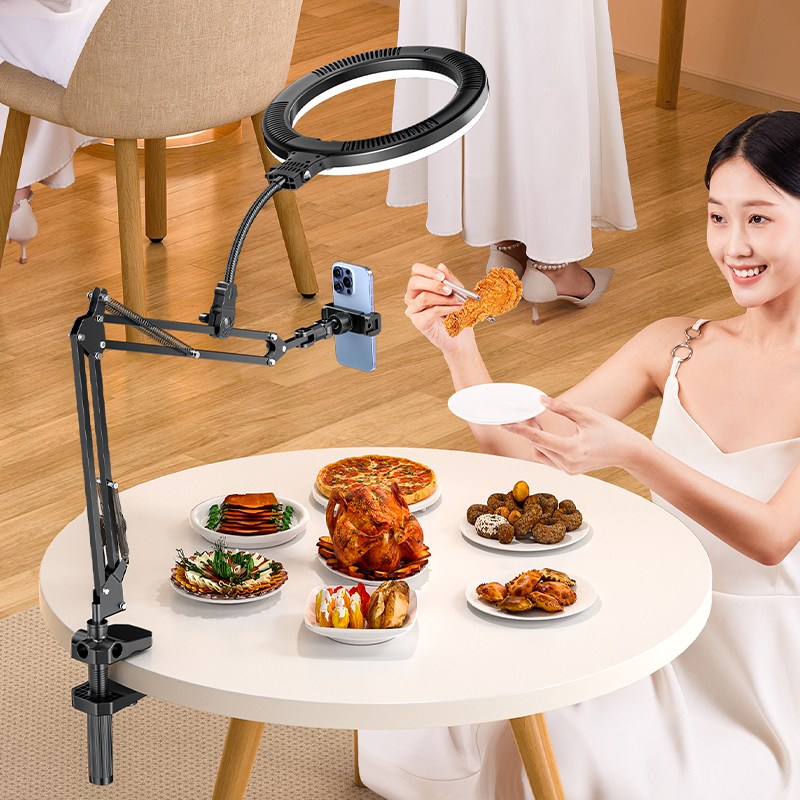 New Arrival 10Inch Led Circle Selfie USB Warm Photographic Lighting Tiktok Ring Light Stand Video Studio Lights Soft Black 2026