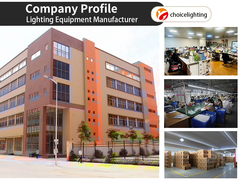 Company Factory and Workshop
