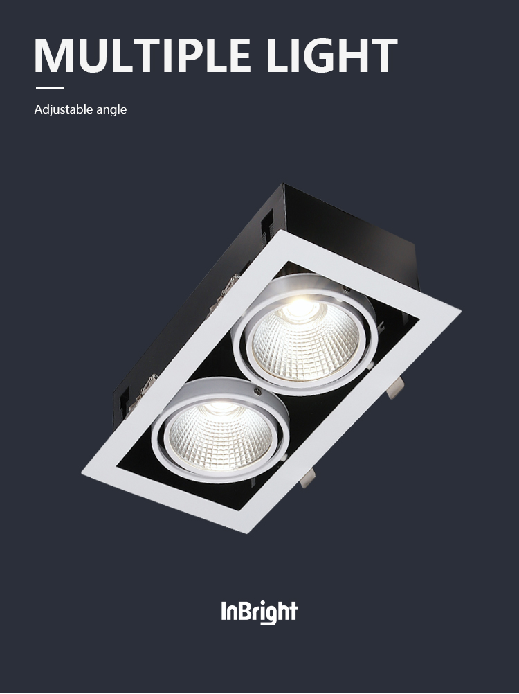 LED Downlight Detail 1