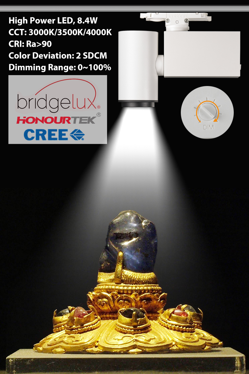 Fixed Focus 10W DALI Track Spotlight Application