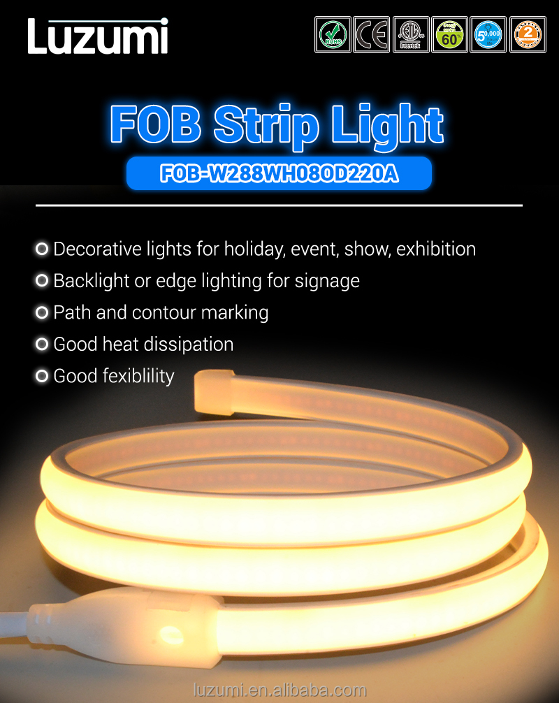 LED Strip Light Details 1