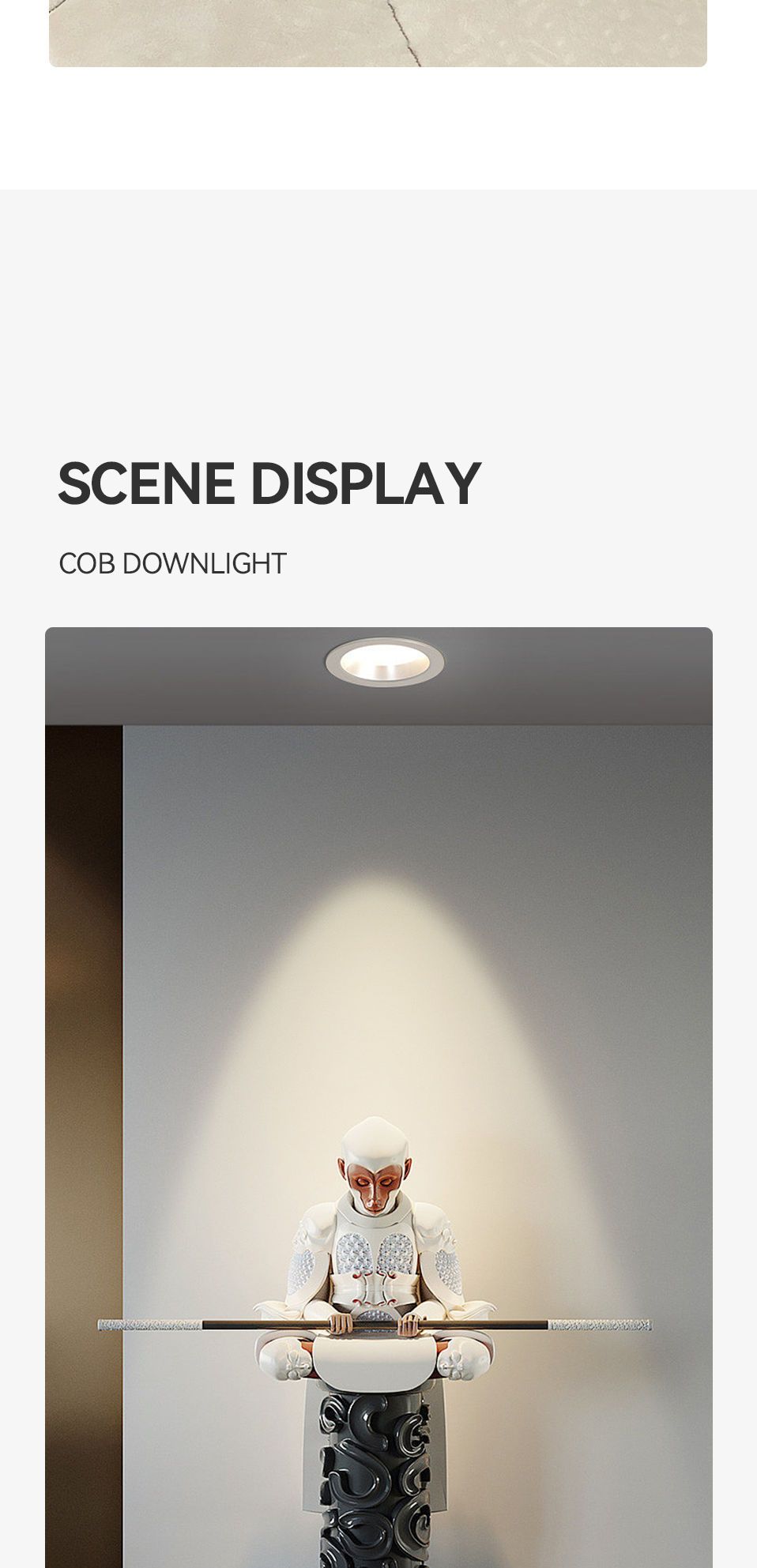 LED Downlight View 12