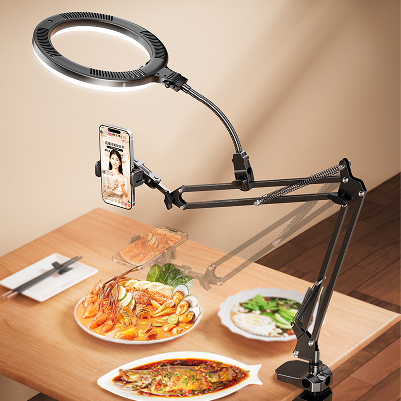 New Arrival 10Inch Led Circle Selfie USB Warm Photographic Lighting Tiktok Ring Light Stand Video Studio Lights Soft Black 2026