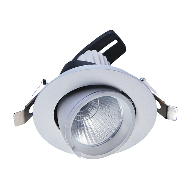 Adjustable Cob LED Spotlight 20W 30W 40W Modern Ceiling Downlights for Home Office Living Room Shopping Malls Hotels Install 12W