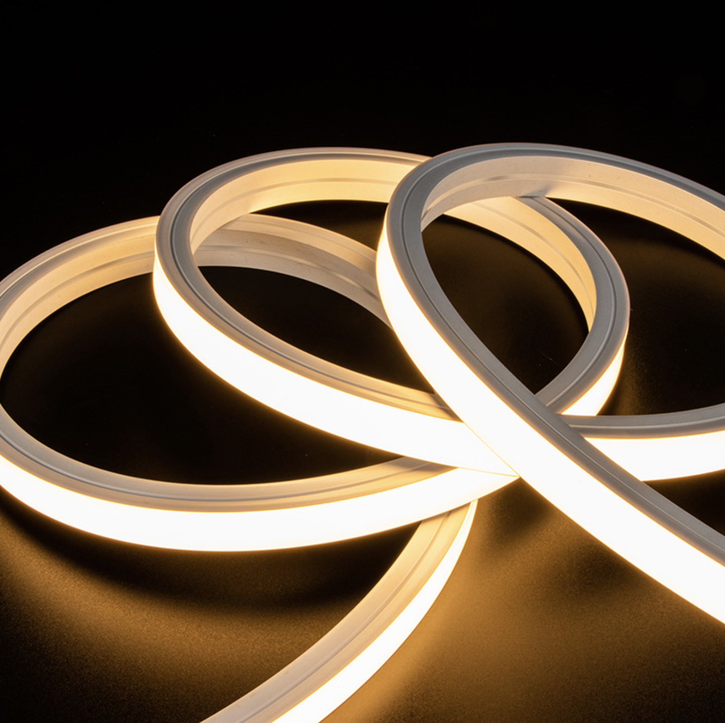 LED Neon Light