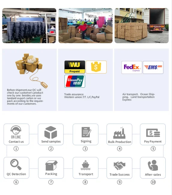 Our Services Showcase