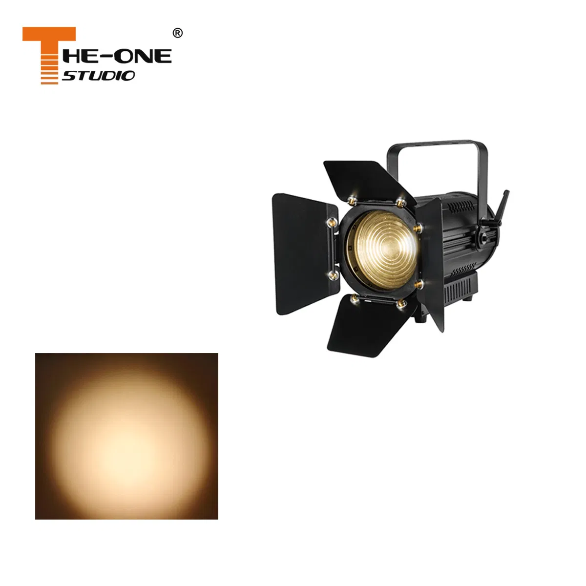 200W &nbsp;Led Fanless &nbsp;Studio Fresnel Light