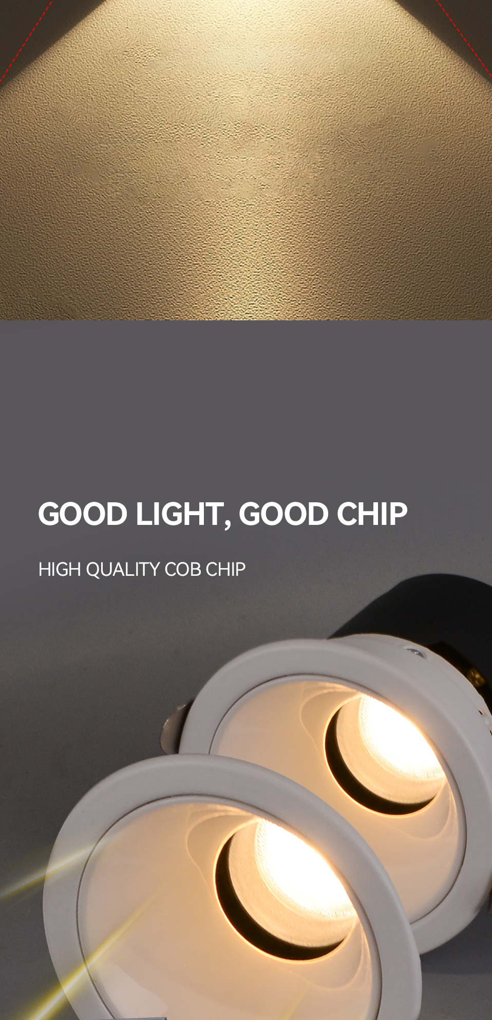 LED Downlight View 6