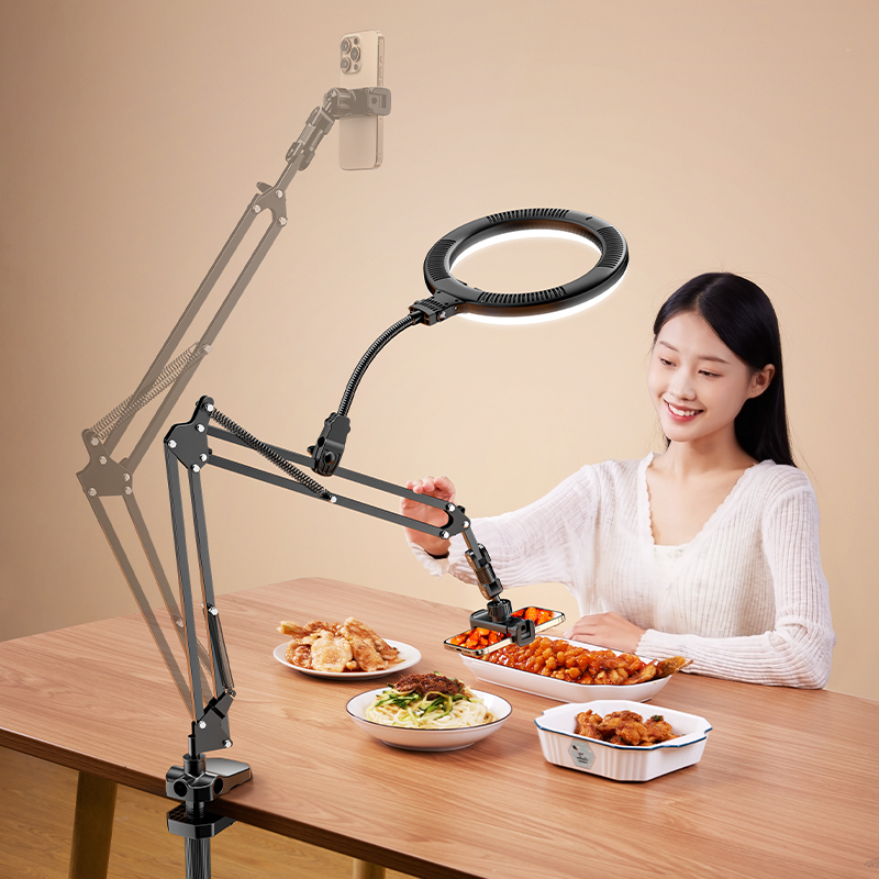 New Arrival 10Inch Led Circle Selfie USB Warm Photographic Lighting Tiktok Ring Light Stand Video Studio Lights Soft Black 2026