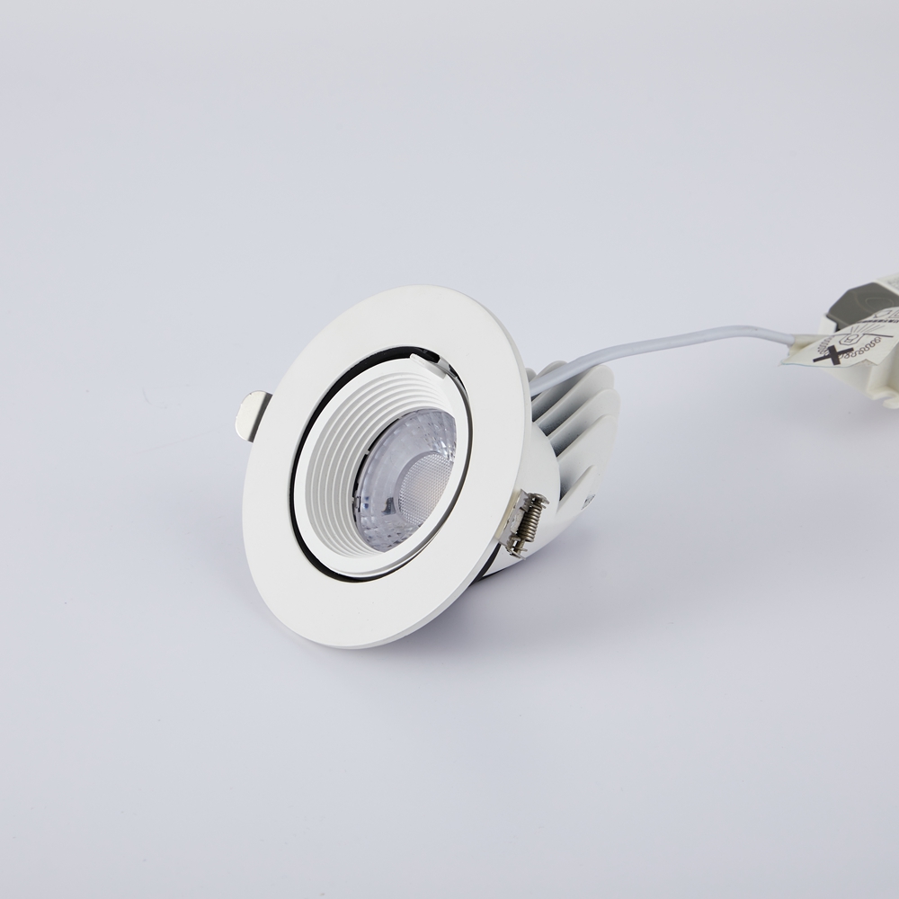 Product Showcase 5