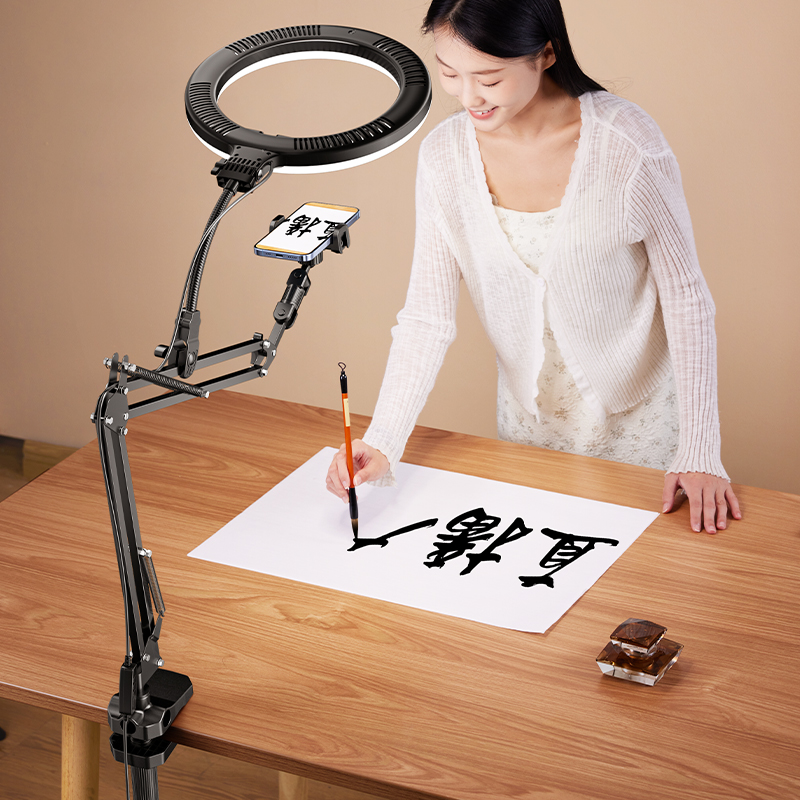 New Arrival 10Inch Led Circle Selfie USB Warm Photographic Lighting Tiktok Ring Light Stand Video Studio Lights Soft Black 2026