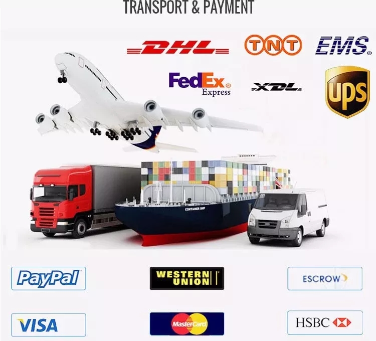 Service and Delivery Visual