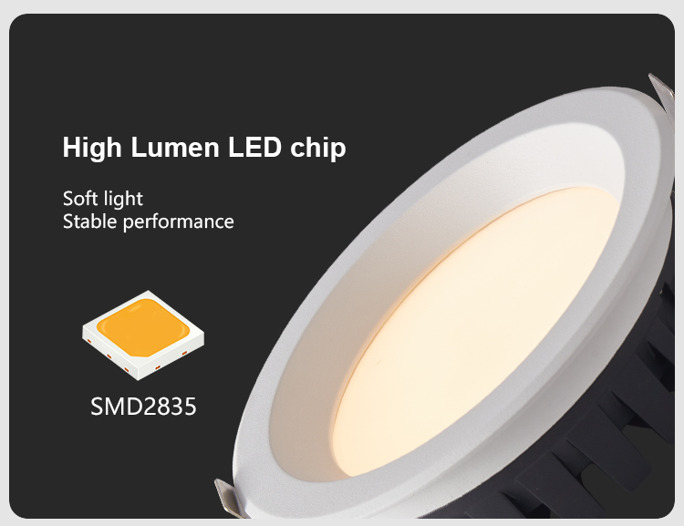 Downlight Details