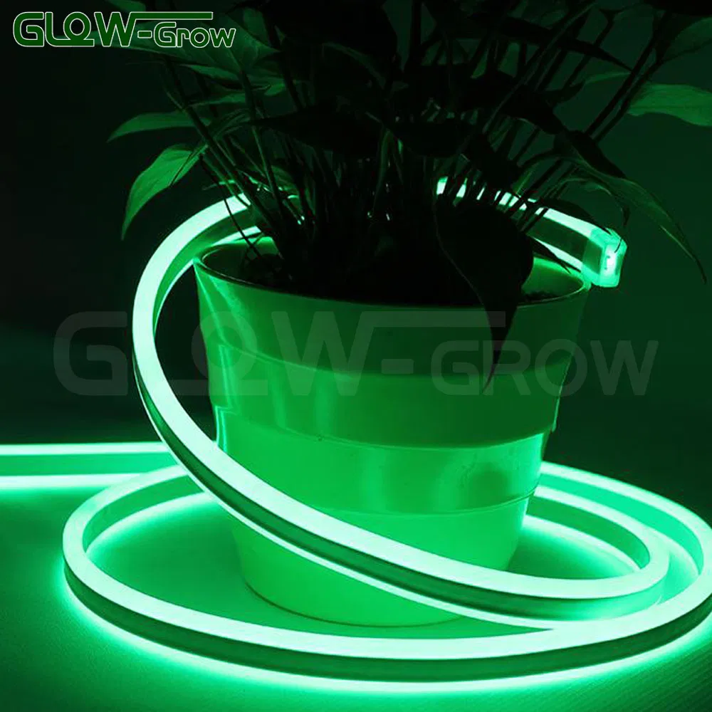 IP65 24V Double Side Rgbww Wholesale LED Neon Flex Light Neon Lamps for Large Commercial Christmas Decoration