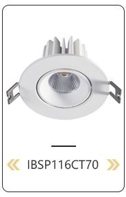 LED Downlight Color Options 1