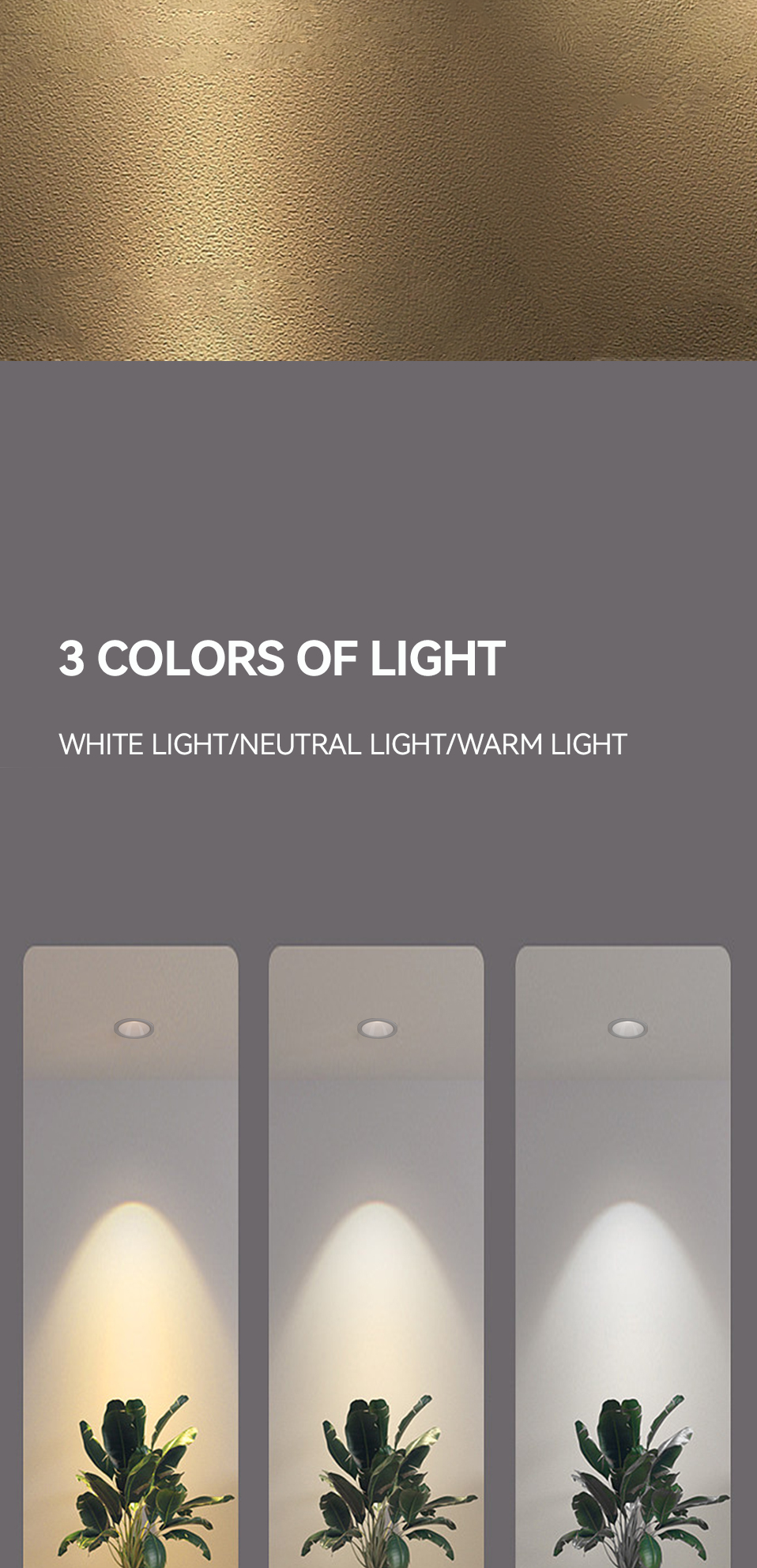 LED Downlight View 4