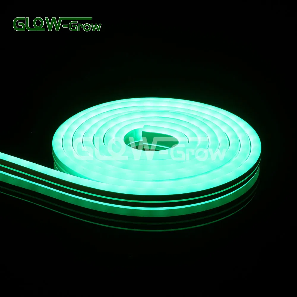 IP65 24V Double Side Rgbww Wholesale LED Neon Flex Light Neon Lamps for Large Commercial Christmas Decoration