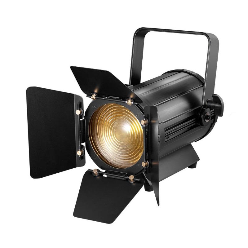 100W Fresnel Tungsten Spot Studio Video Projector Stage Light