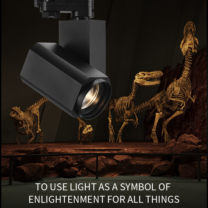 24W LED Electric Spotlight COB Chip Modern Design Zoom DMX Track Lights Aluminum Body High CRI 95 Dimmable Shop Theater Studio