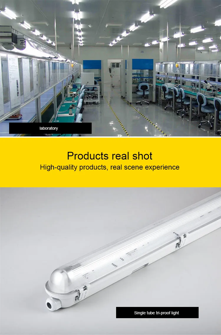 Waterproof IP65 LED T8 Triproof Light for Aquariums