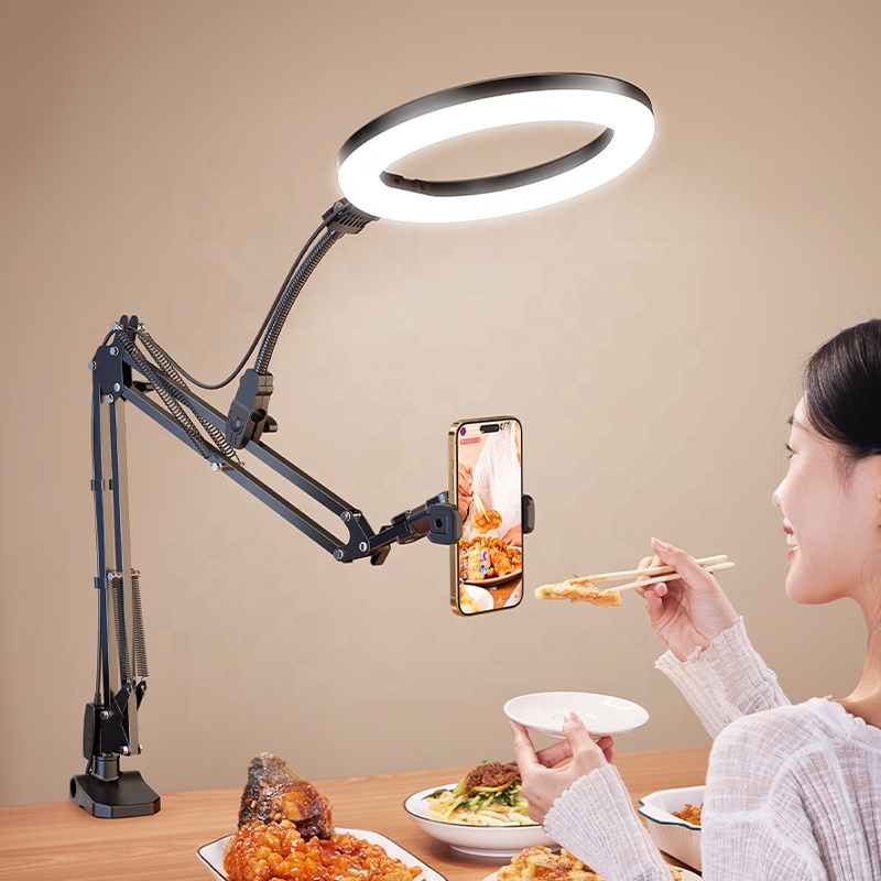 New Arrival 10Inch Led Circle Selfie USB Warm Photographic Lighting Tiktok Ring Light Stand Video Studio Lights Soft Black 2026